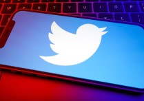 Twitter 登录使用教程