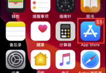 苹果用户网络配置